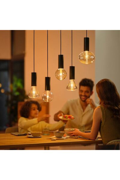 Philips Hue Smart LED Bulb, White & Color, Edison Screw E27, 6.5W