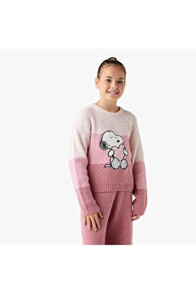 CPLG Snoopy Dog Embroidered Sweater and Wide Leg Pants Set