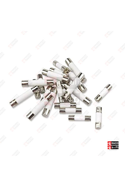 Raco Ceramic Fuse 5-Pcs Fast blow -250 V Electrical Ceramic Tube Fuses (6x25, 20A)