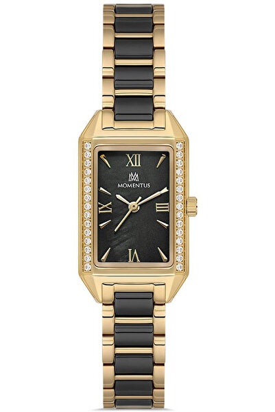 Momentus Ss273T-04Sg