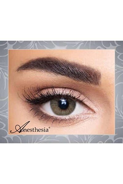 Anastasia Addict Arena Colored Monthly Contact Lenses