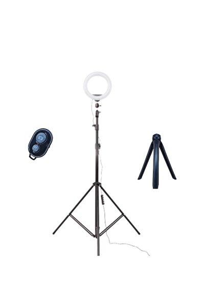 selling depot Kit accesorii inelar 15 cm (6") - USB, lumină caldă/neutră/rece...