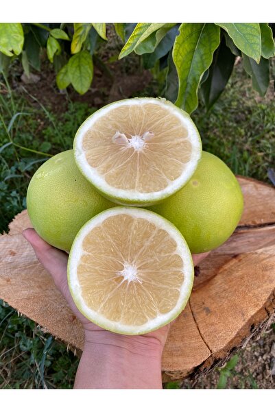 ARI ORGANIC Greyfurt 1kg