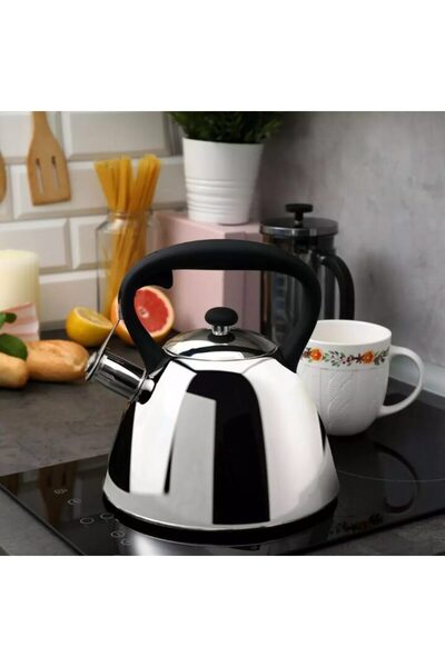 Klausberg Fierbator traditional, ceainic din otel inoxidabil argintiu, 22 x 2...