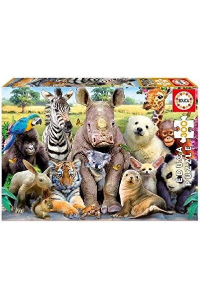 EDUCA 300-piece Large Jigsaw Puzzle for Children – Beautiful Design, Ages 8+