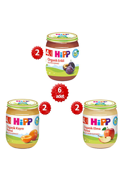 Hipp Organik x6 Kavanoz Karışık Meyve Püresi 125g
