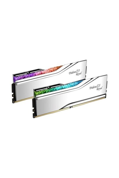 Trident ذاكرة الوصول العشوائي Gskıll 48 جيجابايت 2 × 24 جيجابايت Ddr5 8000 ميجا هرتز Cl40 Rgb Dual Kit Pc Ram Z5 Royal Silver F5-8000j4048f24gx2
