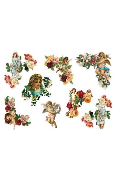 Rich KOLAY TRANSFER BÜYÜK AÇIK ZEMİN 6736