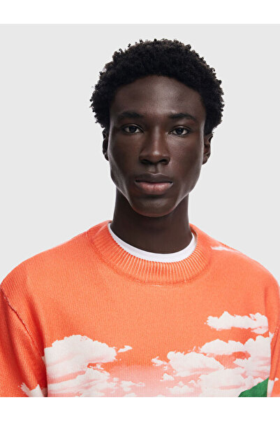 Desigual Sweater with landscape print