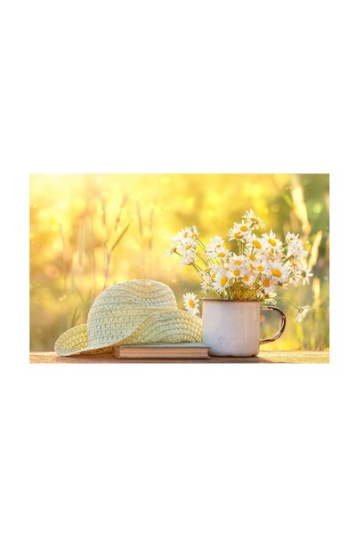 4Decor Pânză Tablou 4Decor, Mușețel, 60x90cm, DE0260