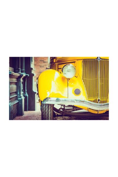 4Decor Pânză Tablou 4Decor, Gângăriță galbenă, 60x90cm, DE0312