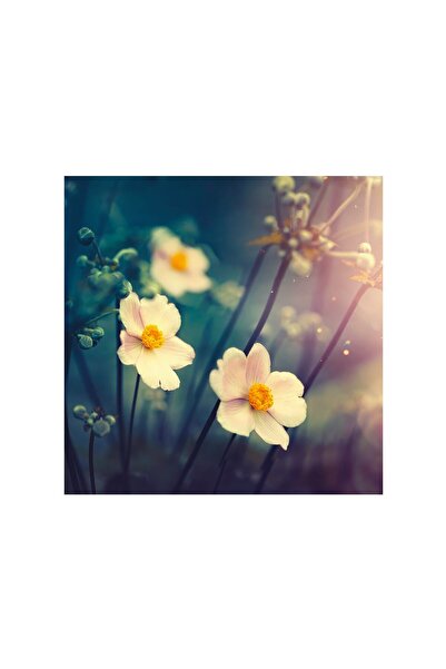 4Decor Pânză Tablou 4Decor, Floare în răsărit, 50x50cm, DE0299