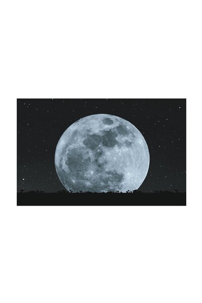 4Decor Tablou pânză 4Decor, Lună Neagră, 60x90cm, DE0333