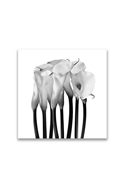 4Decor Tablou pânză 4Decor, Flori albe și negre, 50x50cm, DE0376