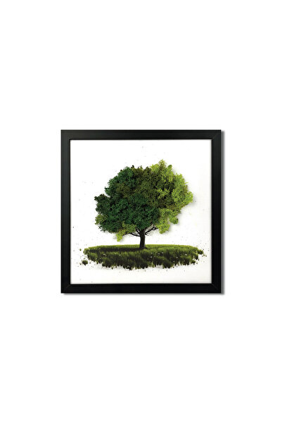 4Decor Tablou canvas cu licheni Lonley Tree, MH0008, 35x35 cm