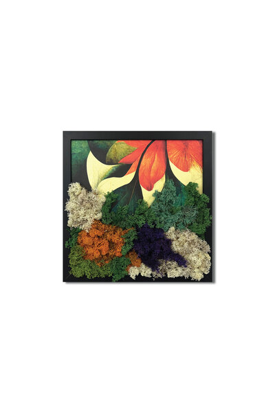 4Decor Tablou canvas cu licheni Abstract Flower, MH0004, 35x35 cm