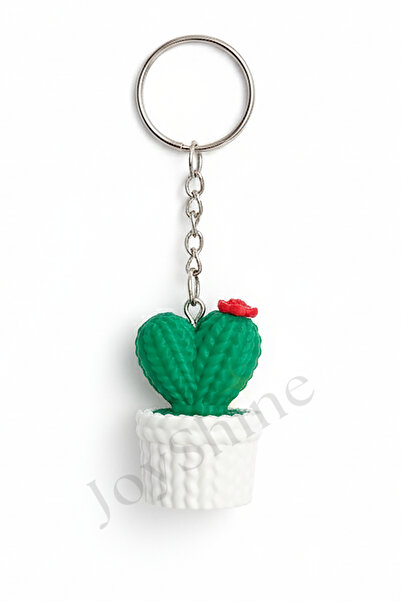 JoyShine Cute Mini Cactus Keychain and Bag Ornament, Bag Charm Gift