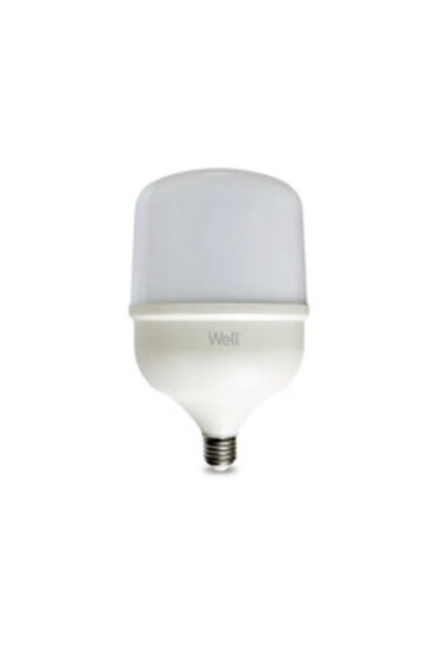 Well LED Bulb T140 E27 50W 230V Cool White 6500K 5500 lm