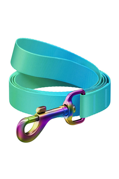 WAUDOG gradient nylon lesă câine, 15mm lățime, 122cm lungime, albastru