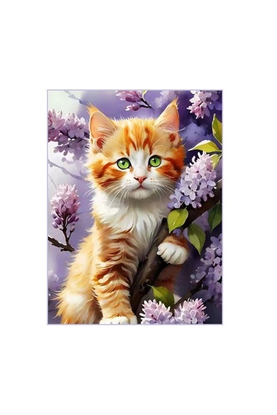 MATTELOT TOYS Set pictura pe numere Pisicuta in liliac, Tablou 20 x 30 cm