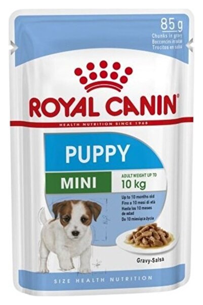 Royal Canin Mini Puppy Soslu Köpek Konservesi 85 gr 20'li Set Idili