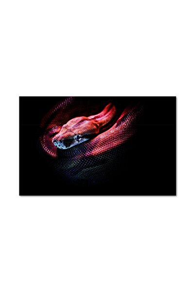 4Decor Pânză Tablou 4Decor, Sarpe elegant, 60x90cm, DM0169