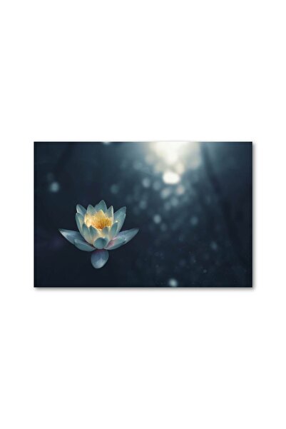 4Decor Tablou canvas 4Decor, Floare de Lotus, 60x90cm, DM0165