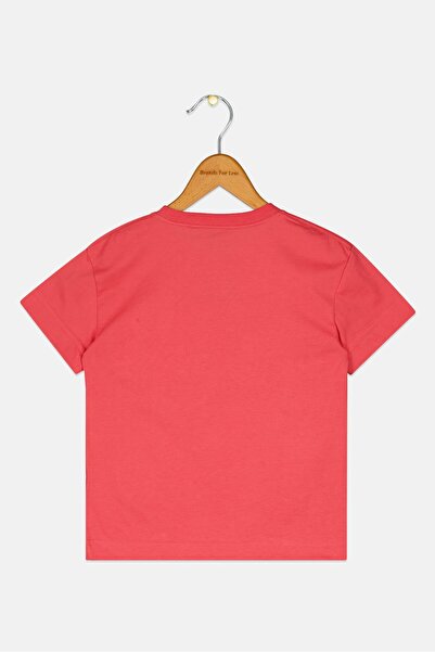 Levi's Toddlers Boy Crew Neck Brand Logo Short Sleeve T-Shirt, Red
