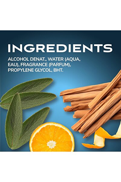 Bod Man Body Spray Holiday Gift Set for Him (Black, Really Ripped Abs, Most Wanted)