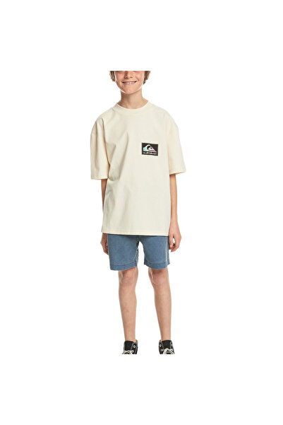 Quiksilver Back Flash Youth Boys' Beige T-Shirt