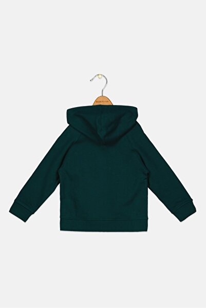 Reebok Toddlers Boy Sportswear Fit Long Sleeve Outdoor Sweatshirt, Green