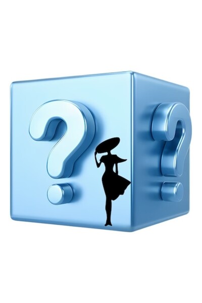 OEM Mystery Box XL edition for women 3-5 new products