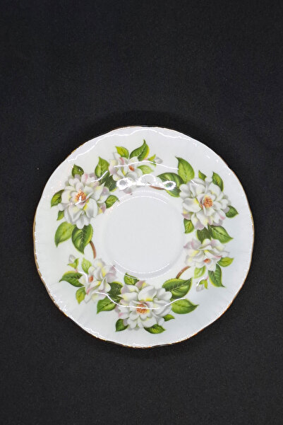 Paragon Polar Bear Camellia Series Cup Saucer 13 cm