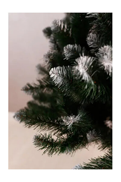 OEM Artificial Christmas Tree 180 cm, European Spruce, 450 Branches, White-Tipped, Plastic Stand