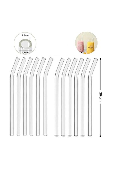 Omnisoft Eğimli Kalın Cam Pipet ve Temizleme Fırçası 12'li