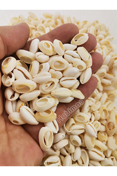 Hobimos 20 Adet 15 mm Doğal Deniz Kabuğu - Takı - Aksesuar - Dekorasyon Boncuğu