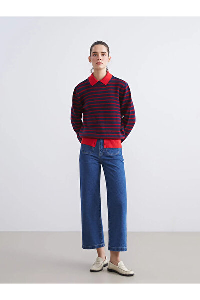 LC Waikiki Bisiklet Yaka Çizgili Kadın Triko Kazak
