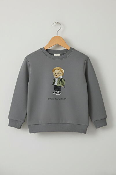 Dmb Boy's Traveling Teddy Bear Sweatshirt