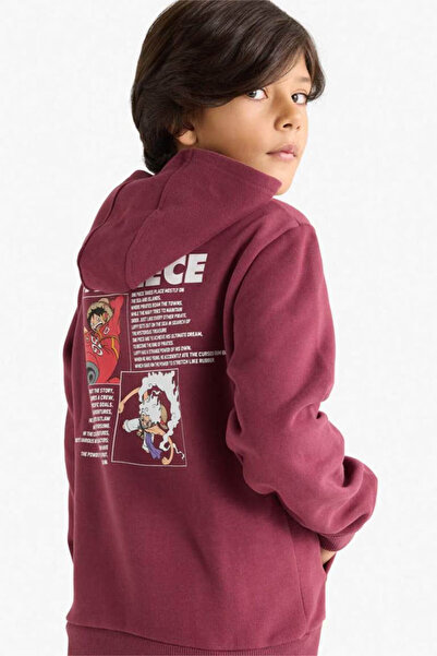 DeFacto One Piece Hooded Soft Furry Inside B Printed Claret Red Boy's Sweatsh...