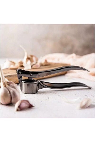 Kinghoff Garlic press, stainless steel, 17 cm,