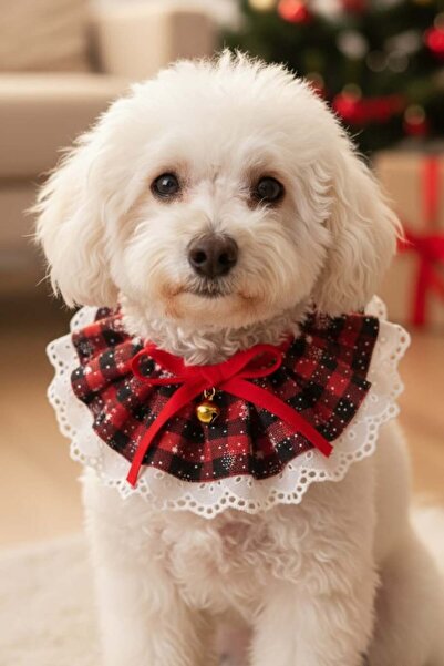 TAKIŞTIR طوق قابل للتعديل للقطط/الكلاب بنمط مزخرف وجرس باللون الأحمر