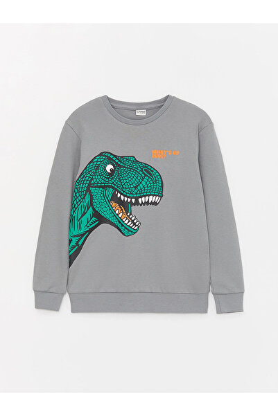 LC Waikiki Tricou cu mânecă lungă pentru băieți LCW Kids Gri guler rotund cu ...