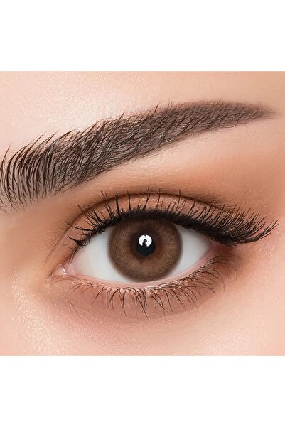 AFLE عدسات افيل يومية بلانو عود