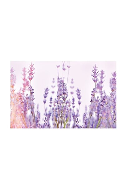 4Decor Panza Tablou 4Decor, Lavanda, 60x90cm, DE0302