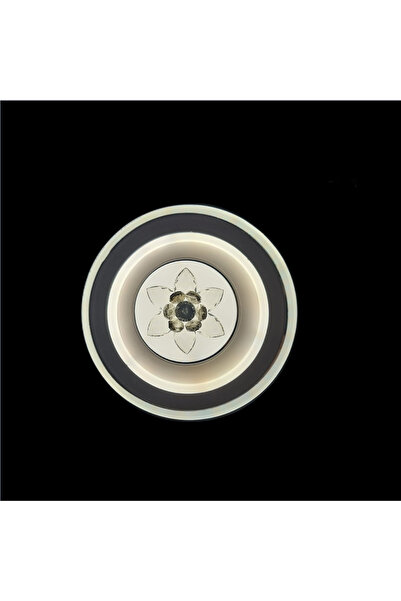 RFAN LED Wall Lamp, Model 7838-2, 3 Light Types, 36W, White