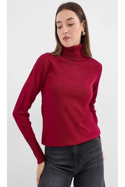 onno style women Plain Fishing Collar Basic Sweater
