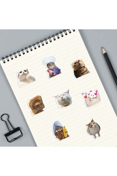 TTT Crazy Cats MacBook Notebook Phone Tablet Agenda Laptop Notebook Sticker Set