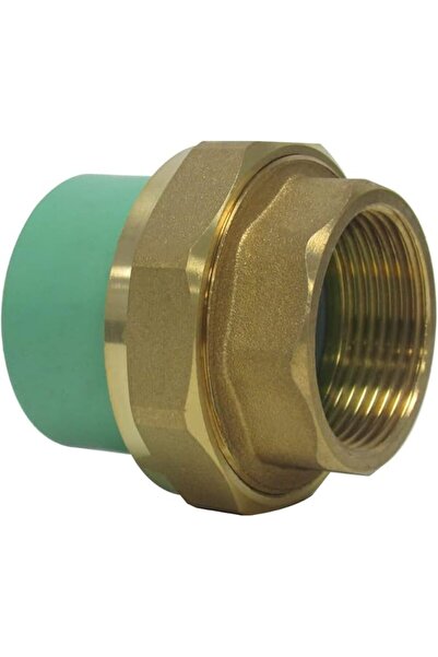 Raco أنابيب ووصلات PPR عالية الضغط (63 مم × 2 بوصة، اتحاد أنثى)