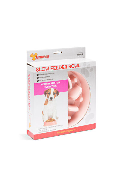 CED AUTO TRADE Slow feeding bowl, puppies and cats - 20 x 20 x 4.5 cm - coral
