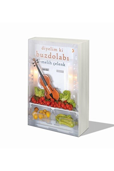 Cinius Yayınları Diyelim ki Buzdolabı